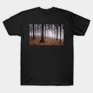 Misty Forest T-Shirt